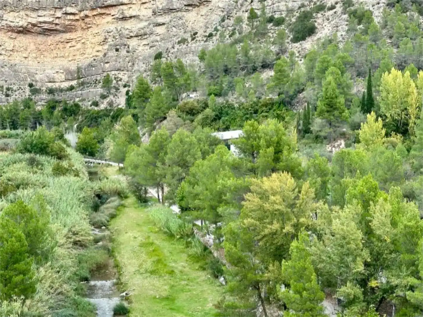 Vista exterior de Local en venda en Montanejos amb Parquet i Moblat