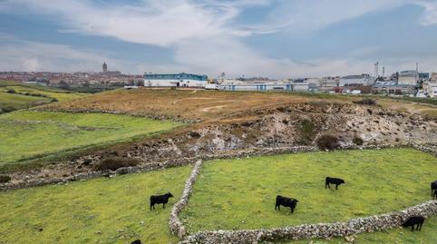 Photo 4 of Industrial buildings for sale in El Olivar - La Magdalena, Colmenar Viejo