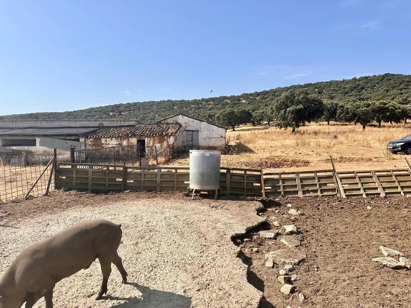 Rural land for sale in Fuente Obejuna, imagen 30