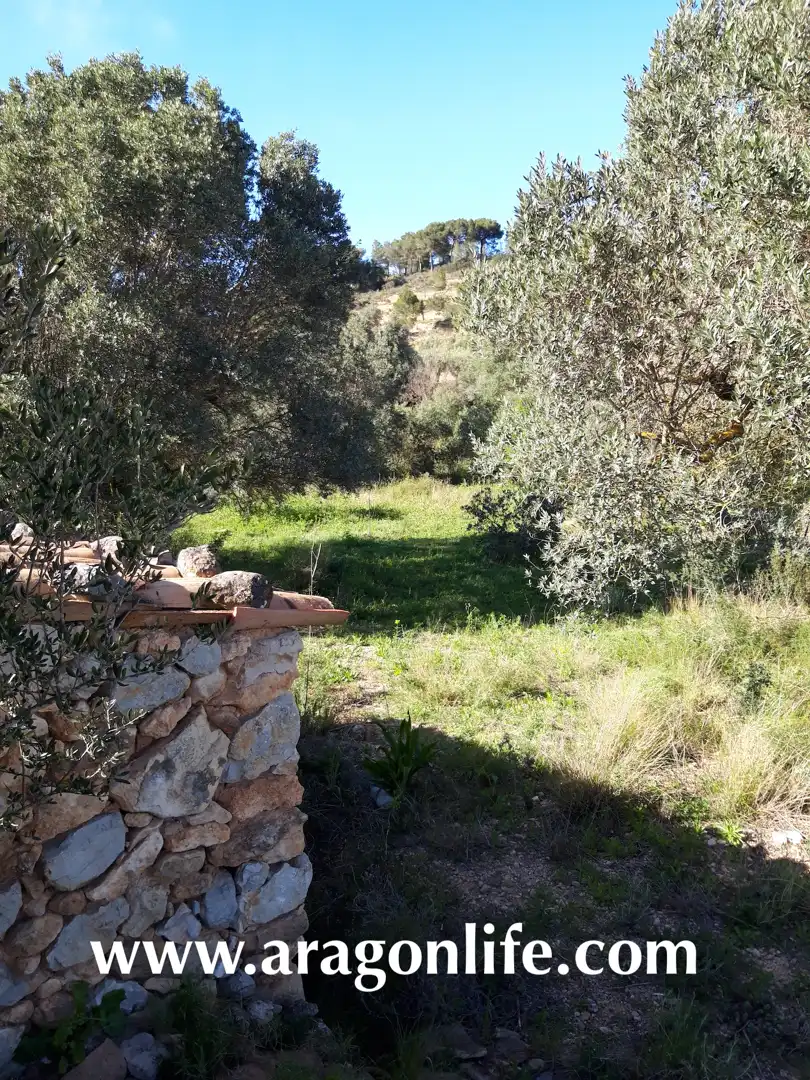 Rural land for sale in C-43, imagen 7