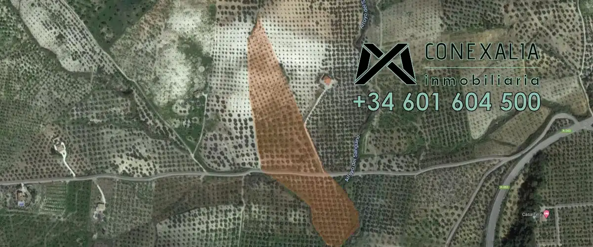 Finca rústica en venta en Pruna