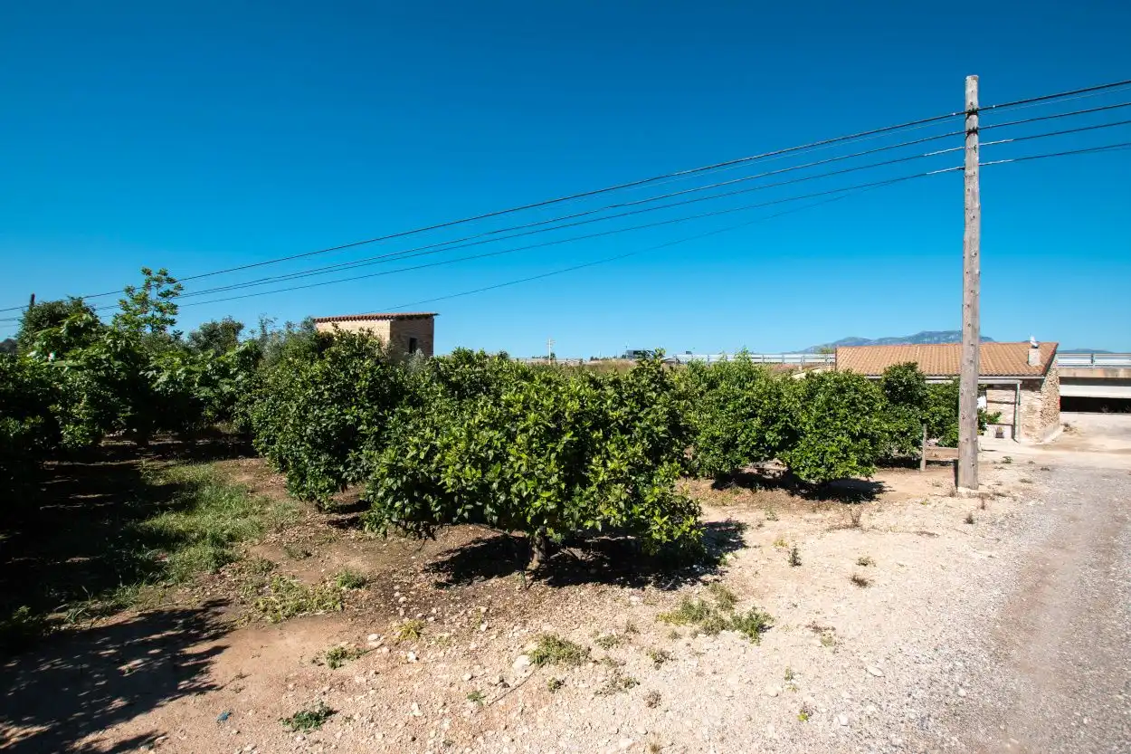 Country house for sale in Centre, imagen 8