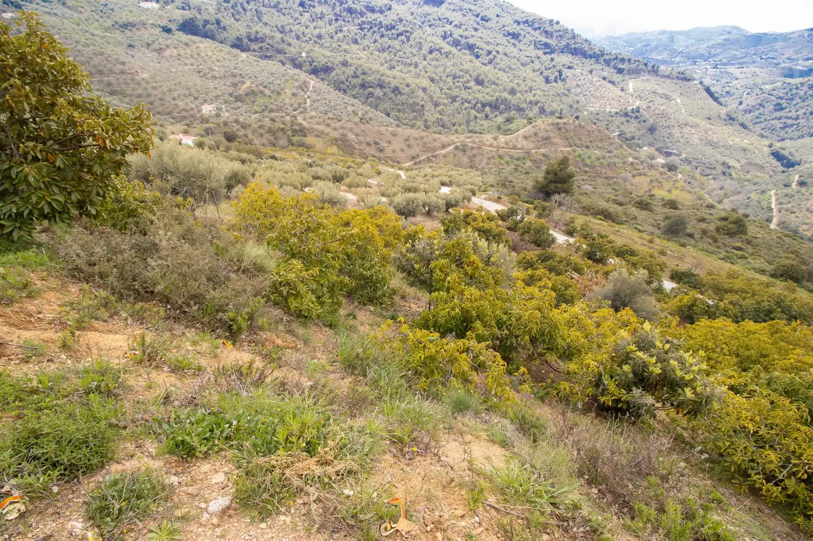 Casa o xalet en venda en Canillas de Albaida