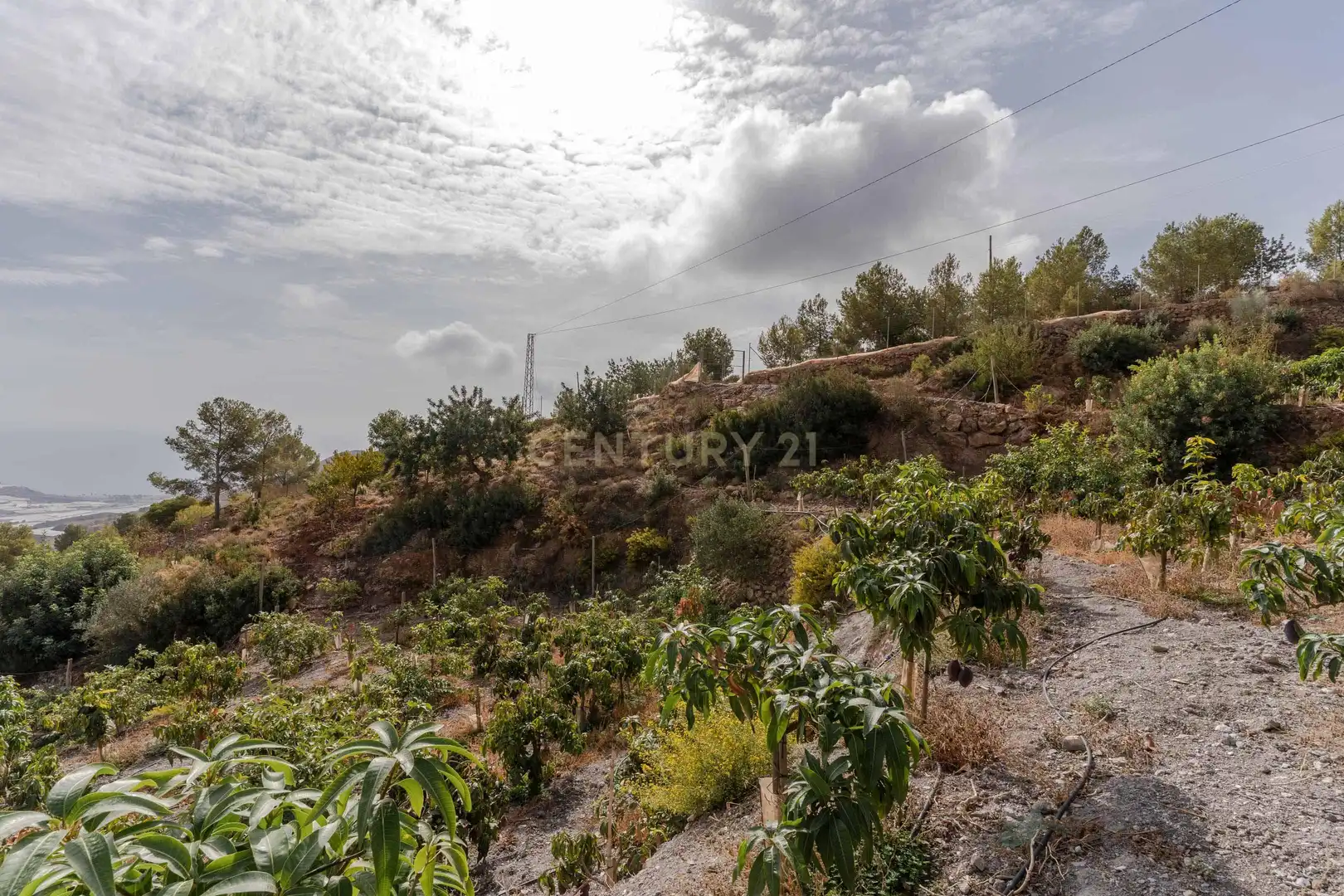Terreni e lotti in vendita a PHPX+WF Gualchos, Spain, imagen 47