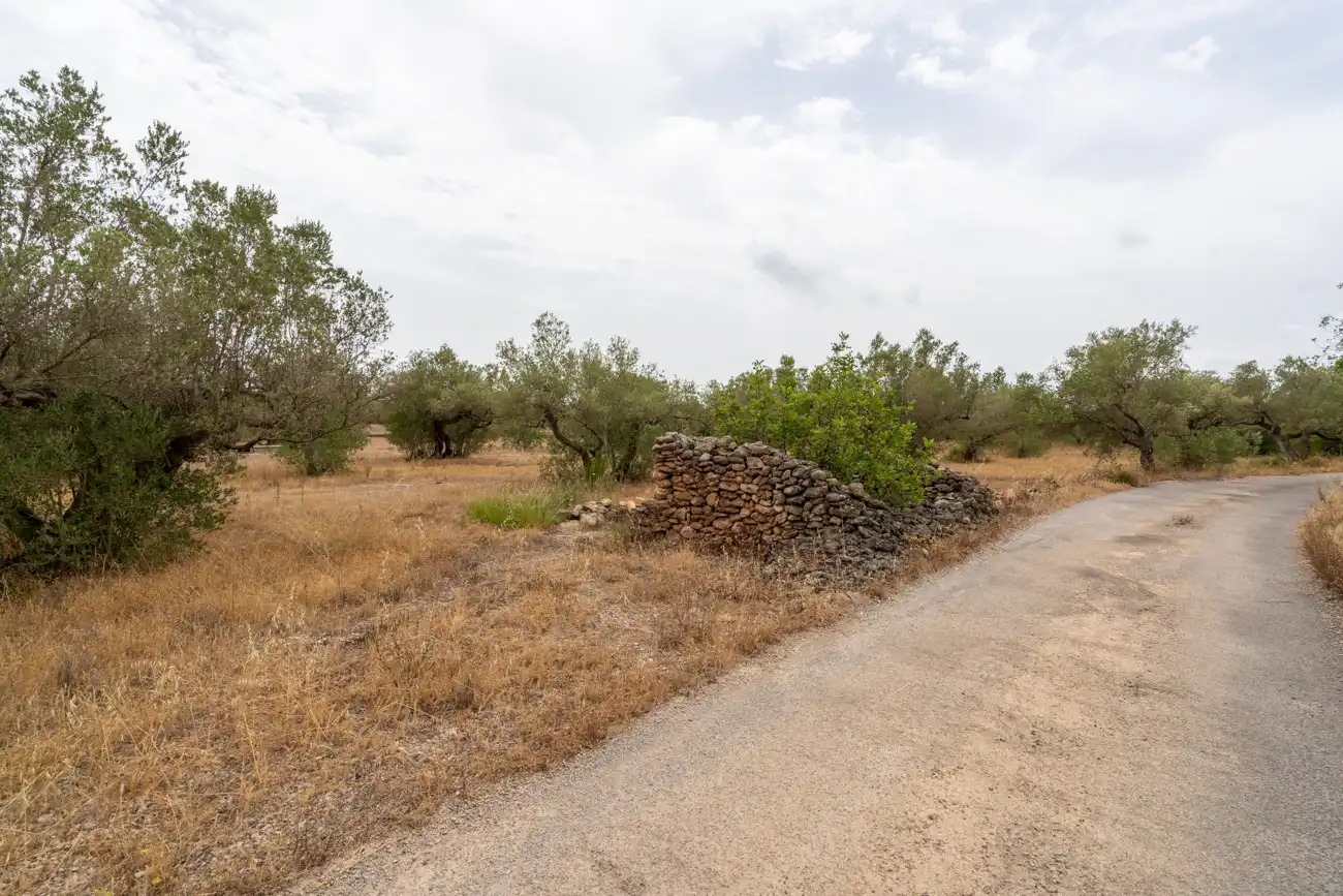 Terrain rustique à vendre à Carrer del Boix 54, imagen 3