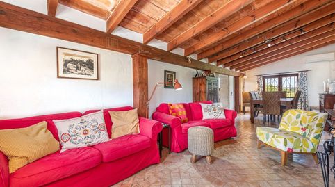 Encantadora finca rústica con piscina en venta en Pollensa, al norte de Mallorca, imagen 4