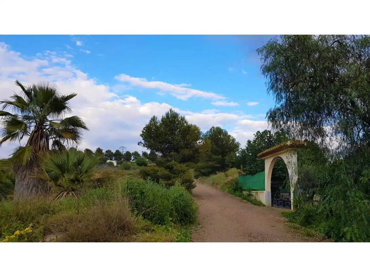 Casa rústica con jardín en venta en Los Gallardos, imagen 7