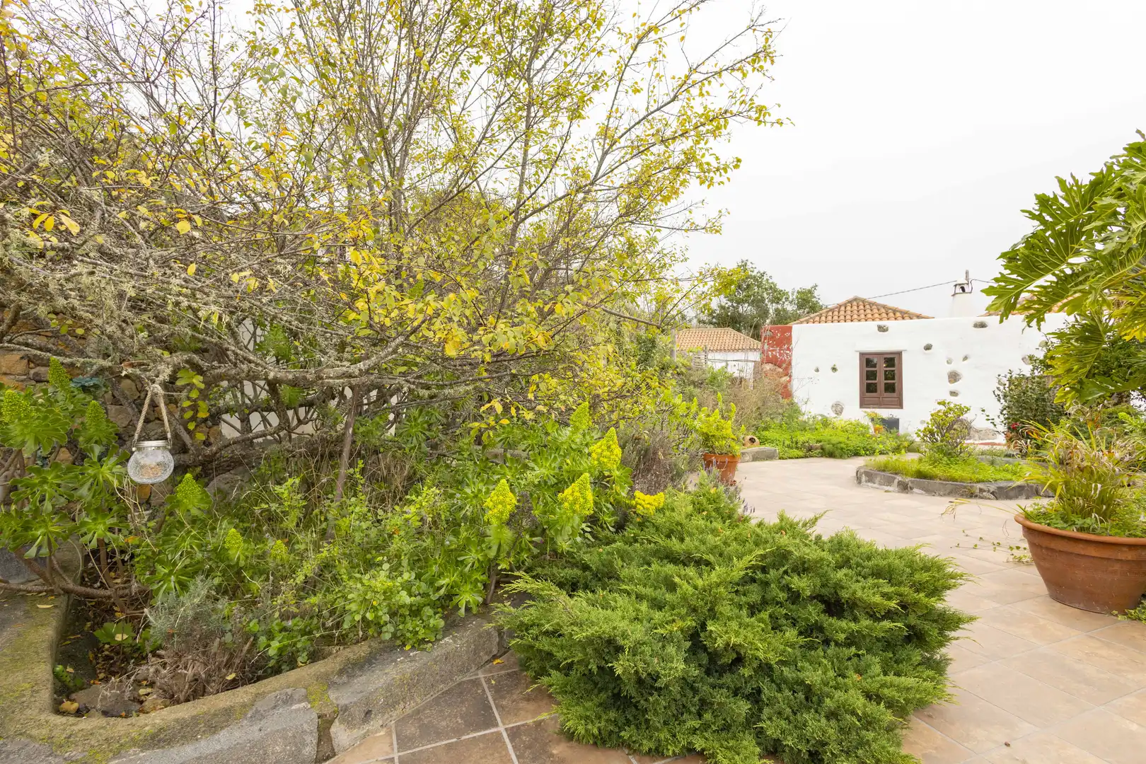 Finca rústica en venta en La Vega - El Amparo - Cueva del Viento