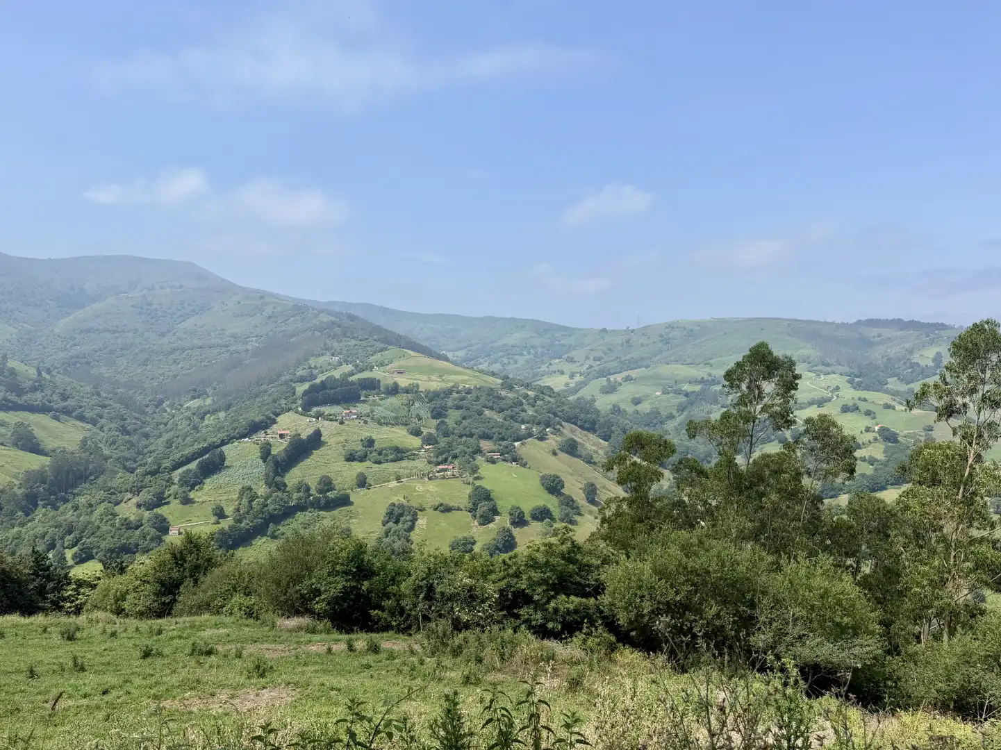 Vista exterior de Casa o chalet en venta en Liérganes con Jardín privado
