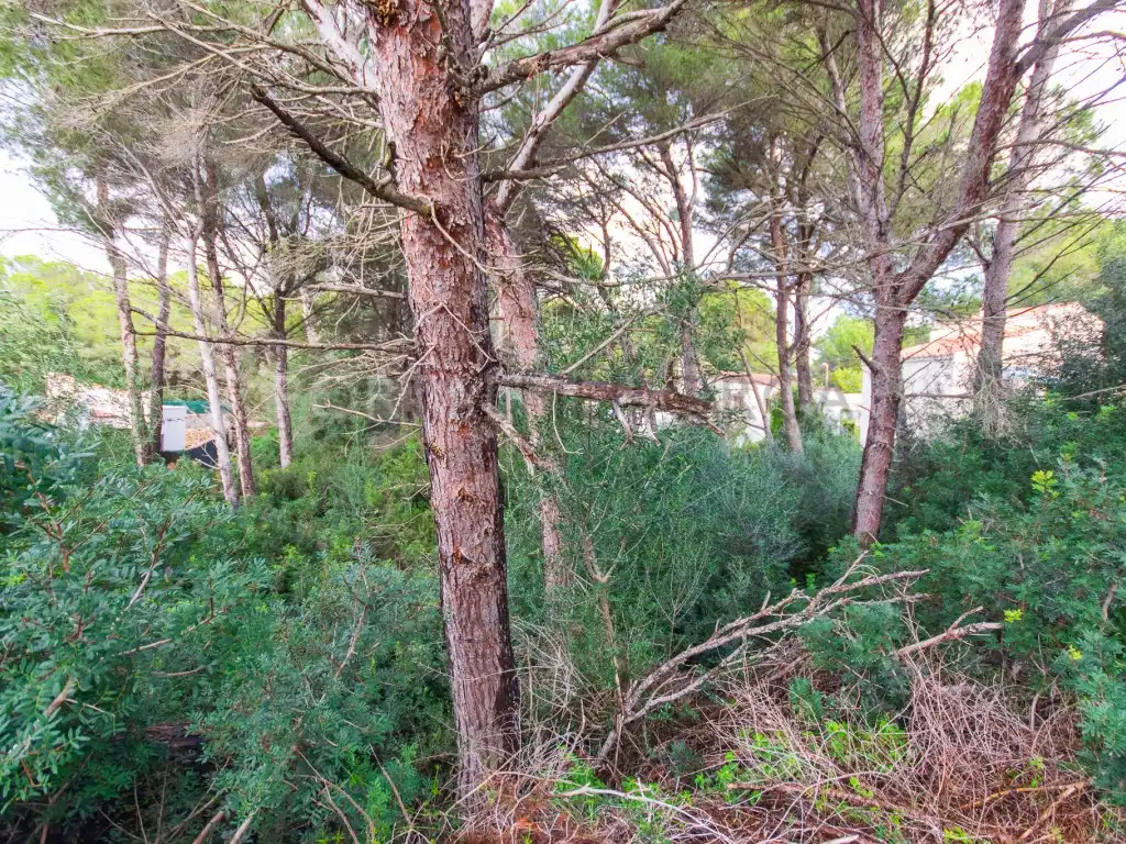 Residential land for sale in Son Parc, imagen 7