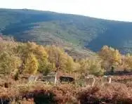 Terreni e lotti in vendita a Prádena, imagen 22