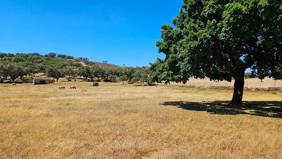Casa o chalet en venta en Higuera de la Sierra con Aire acondicionado, Jardín privado y Terraza