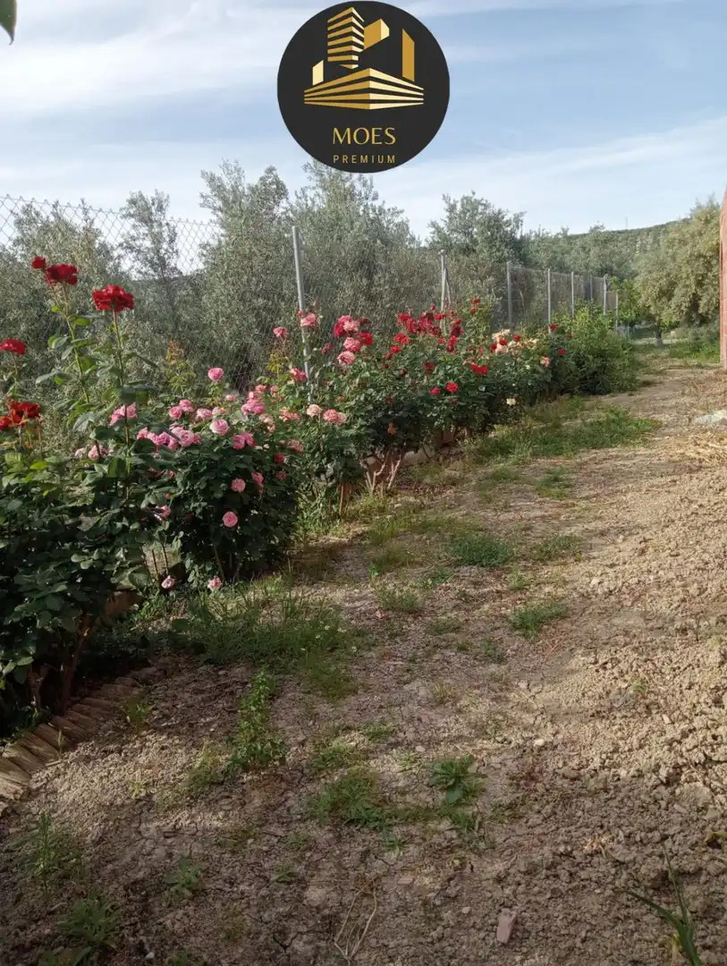 Villa zum Verkauf in Begíjar, imagen 6