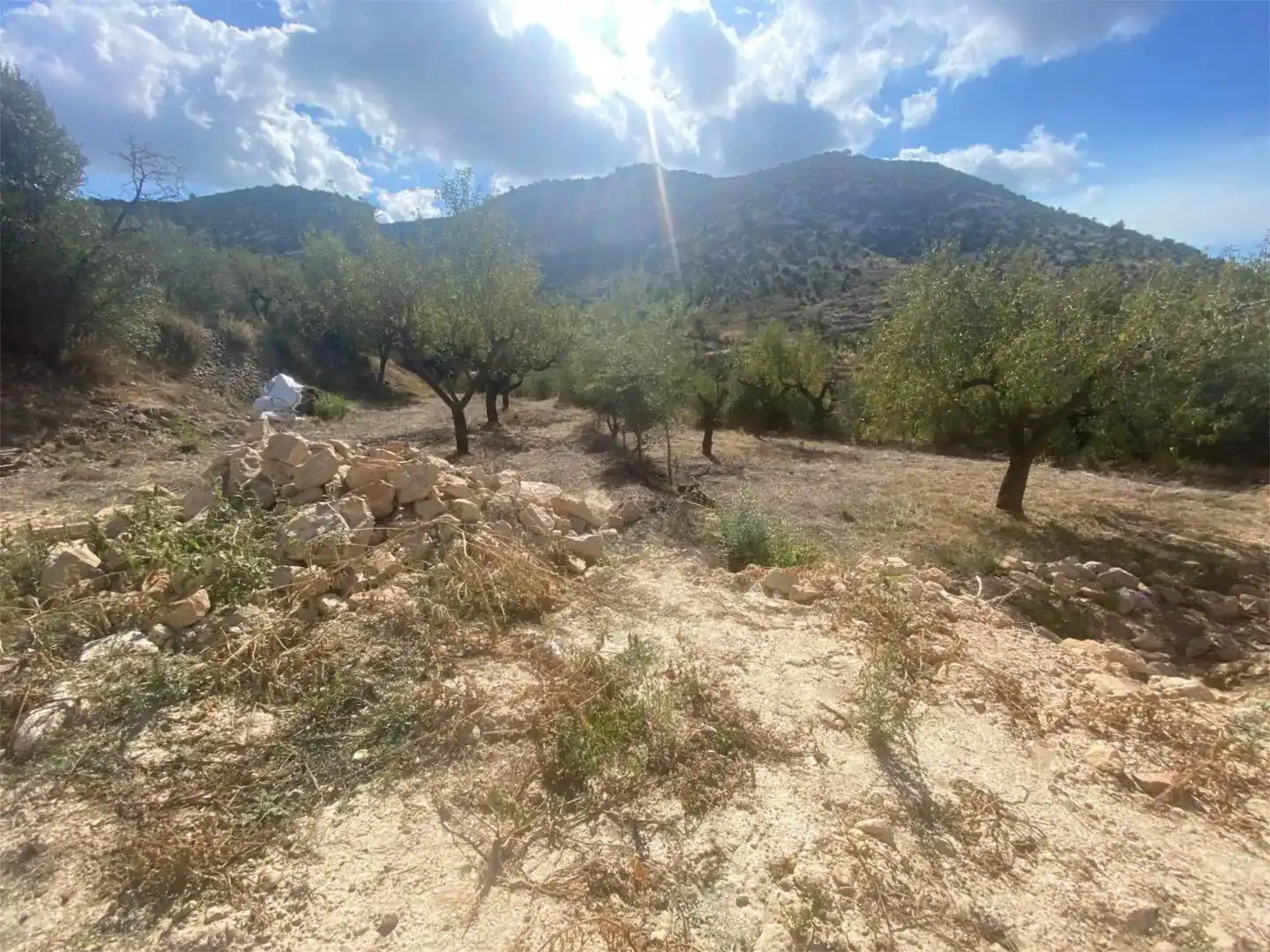 Finca rústica en venda en Sierra Engarcerán amb Aire condicionat, Jardí privat i Traster