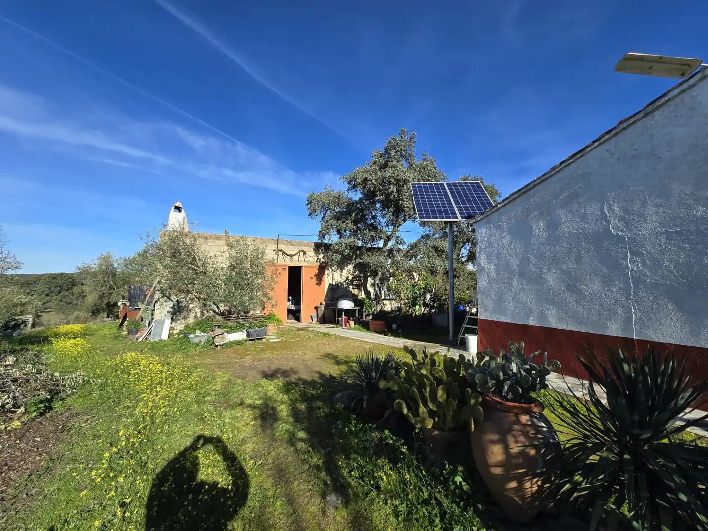 Casa rústica en venta en Pozoblanco, imagen 9