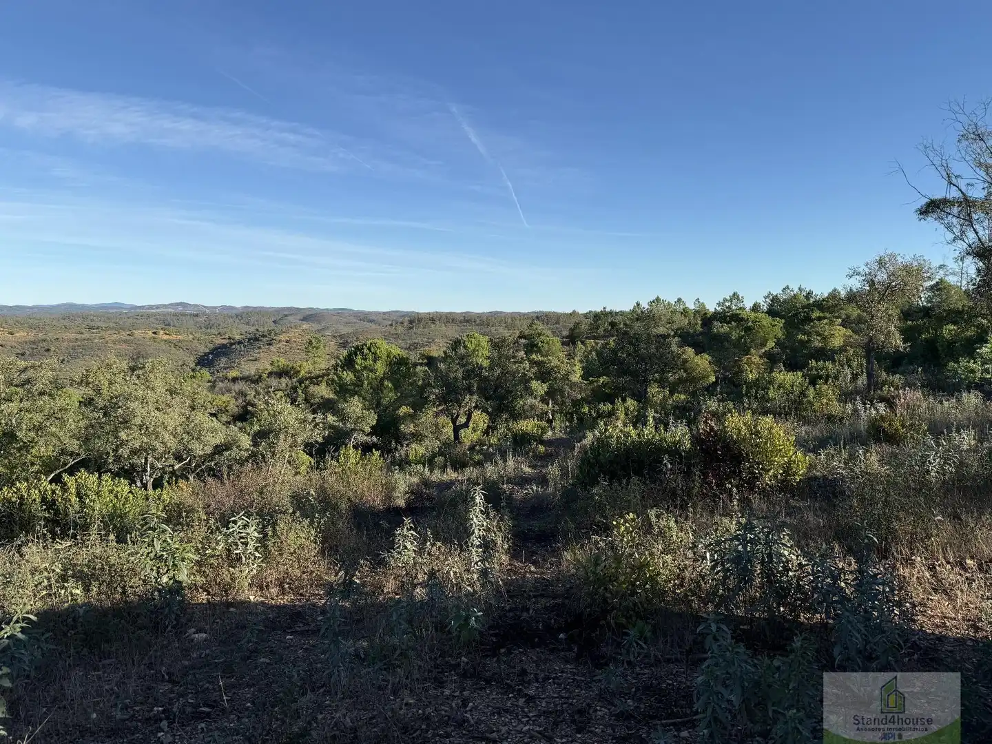 Finca rústica en venta en Berrocal