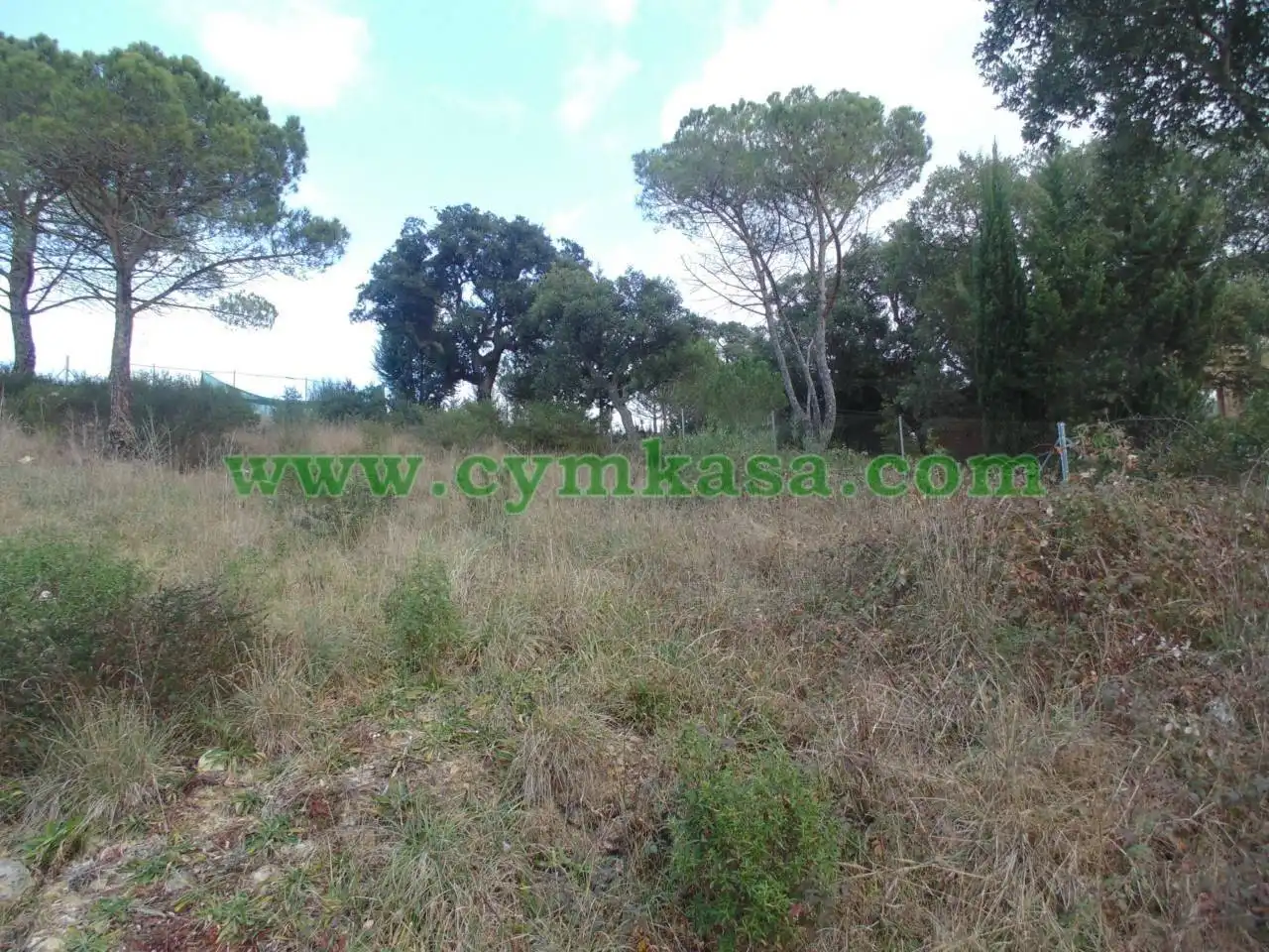 Terreno rustico in vendita a Mas Altaba - El Molí, imagen 3