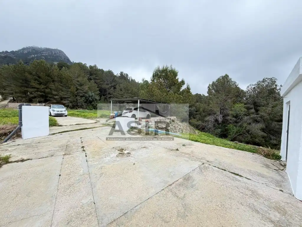 Houses for sale in Alzira