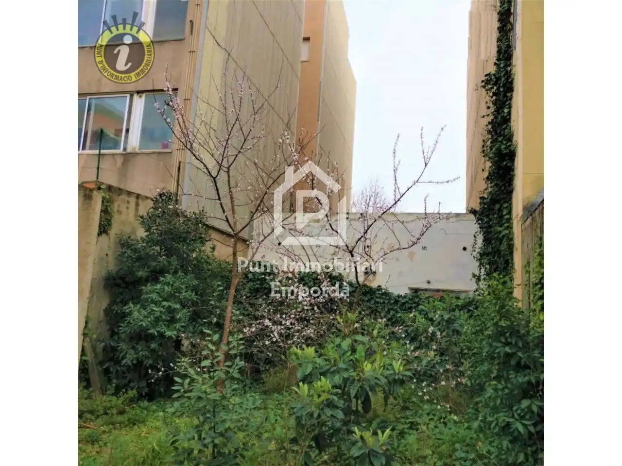 Industrial land for sale in Albert Cotó, imagen 4