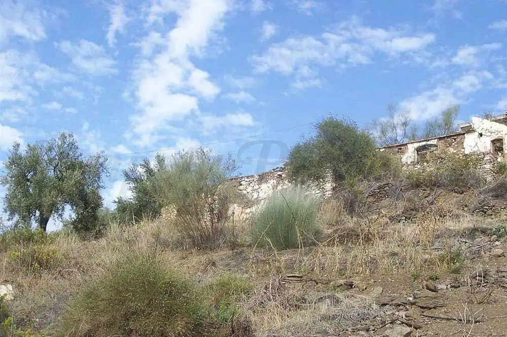 Terreny rústic en venda a Sayalonga, imagen 8