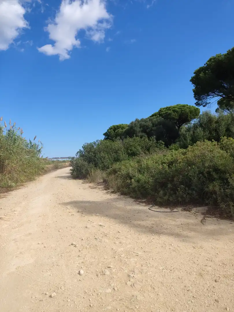 Terreni e lotti in vendita a Las Lagunas - Campano, imagen 6