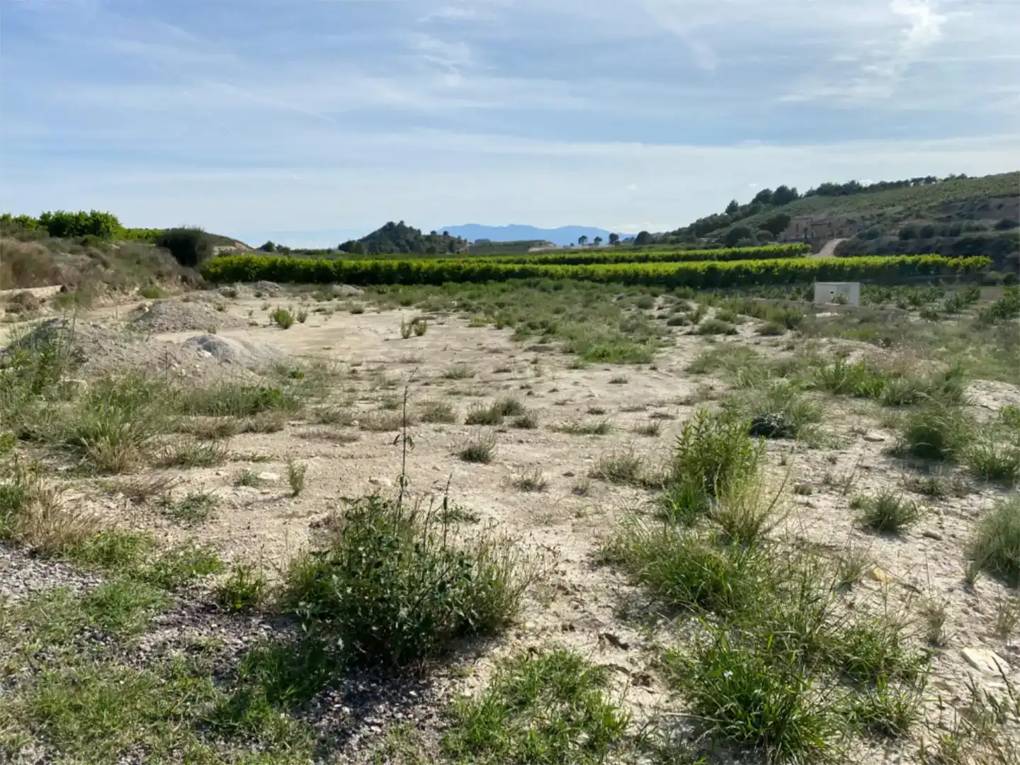 Finca rústica en venda en  Murcia Capital