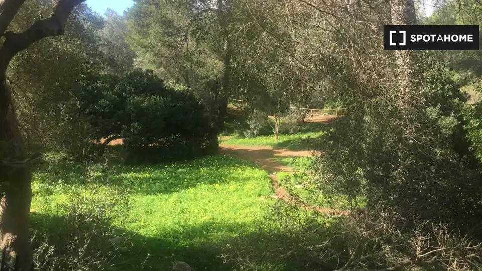 Habitació a El Terreno