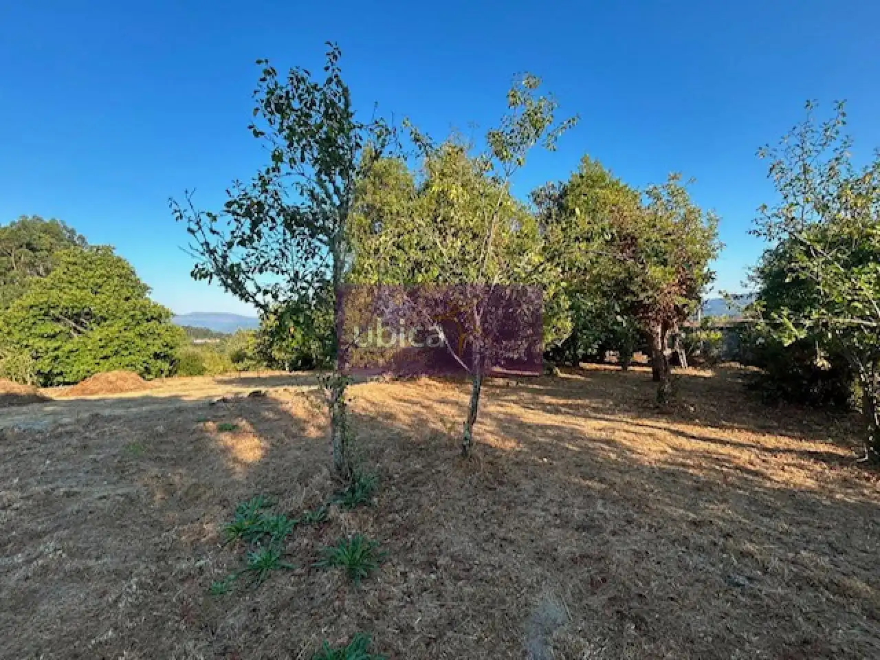 Houses for sale in Covelo, Pontevedra