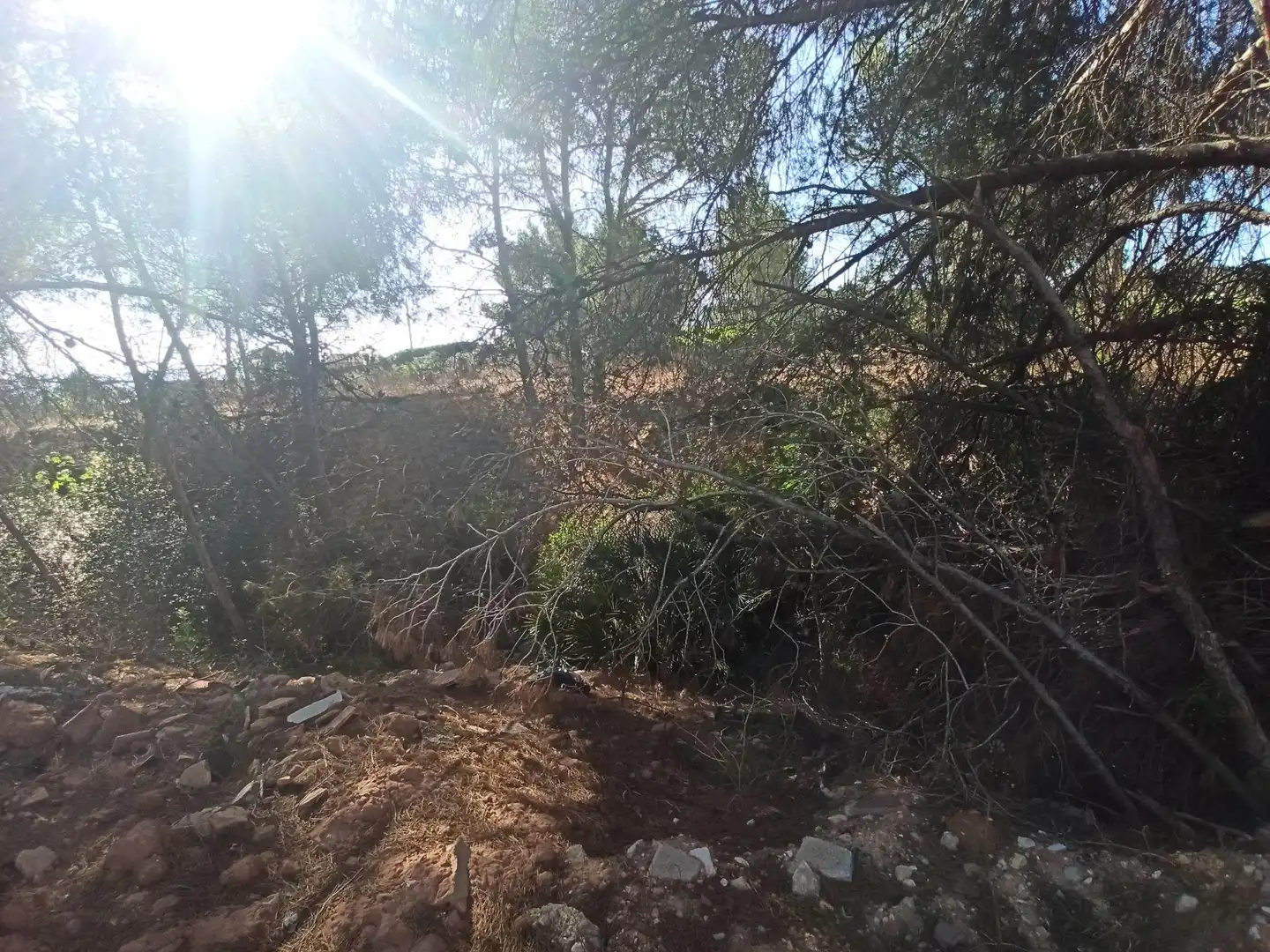 Terreno residencial en venta en Alberic, imagen 5