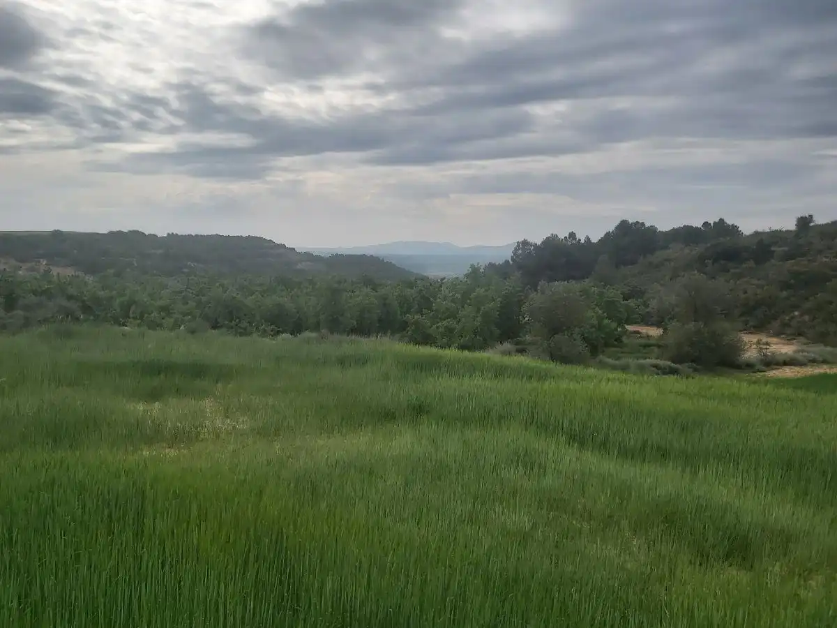 Finca rústica en venta en Seròs