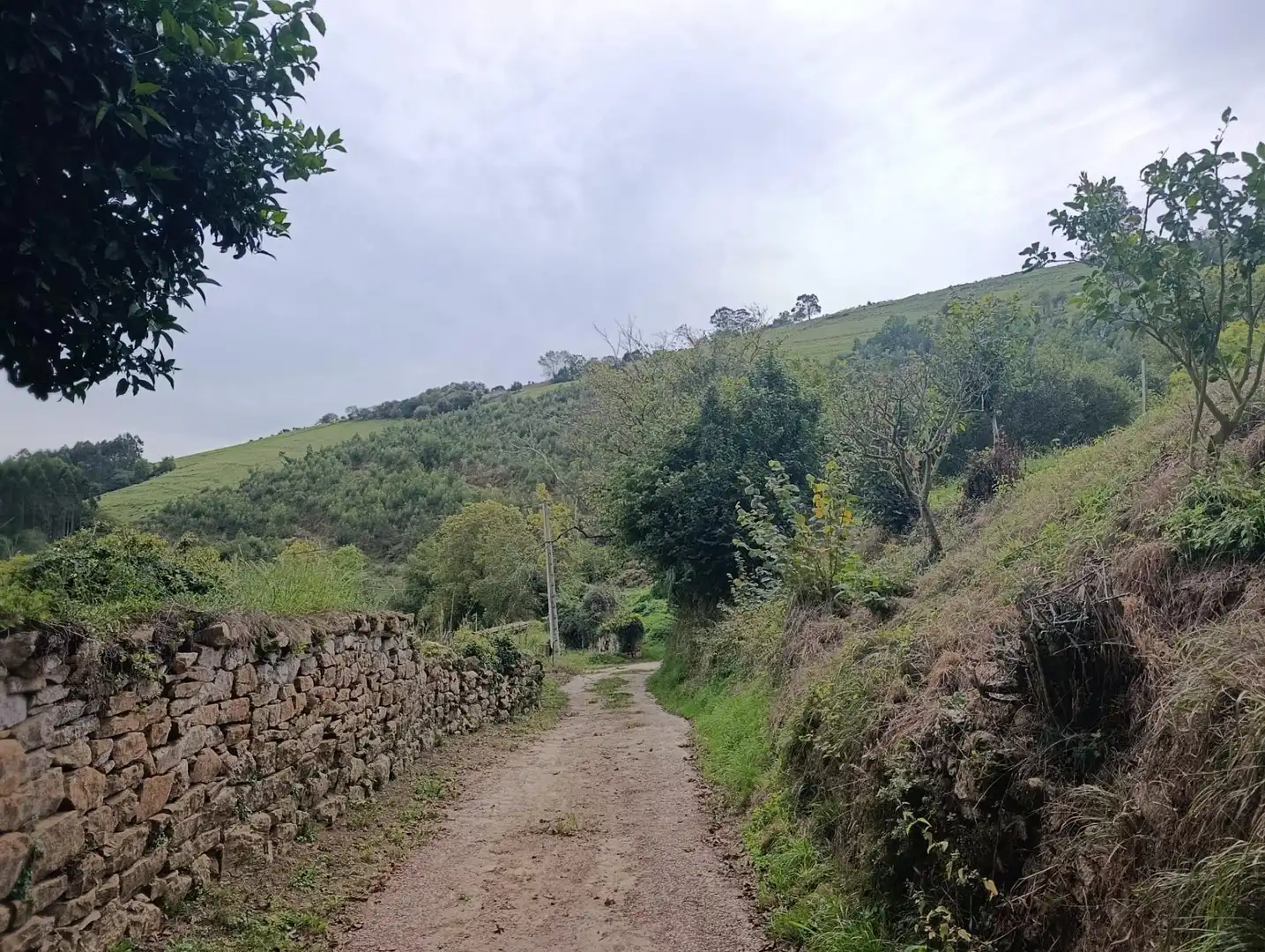 Rustikales Grundstück zum Verkauf in Carretera Piñera (Noriega) 0, imagen 71