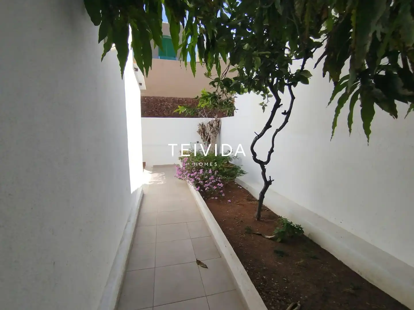Garden of Detached homes for sale in Adeje  with Private garden, Swimming Pool and Community pool