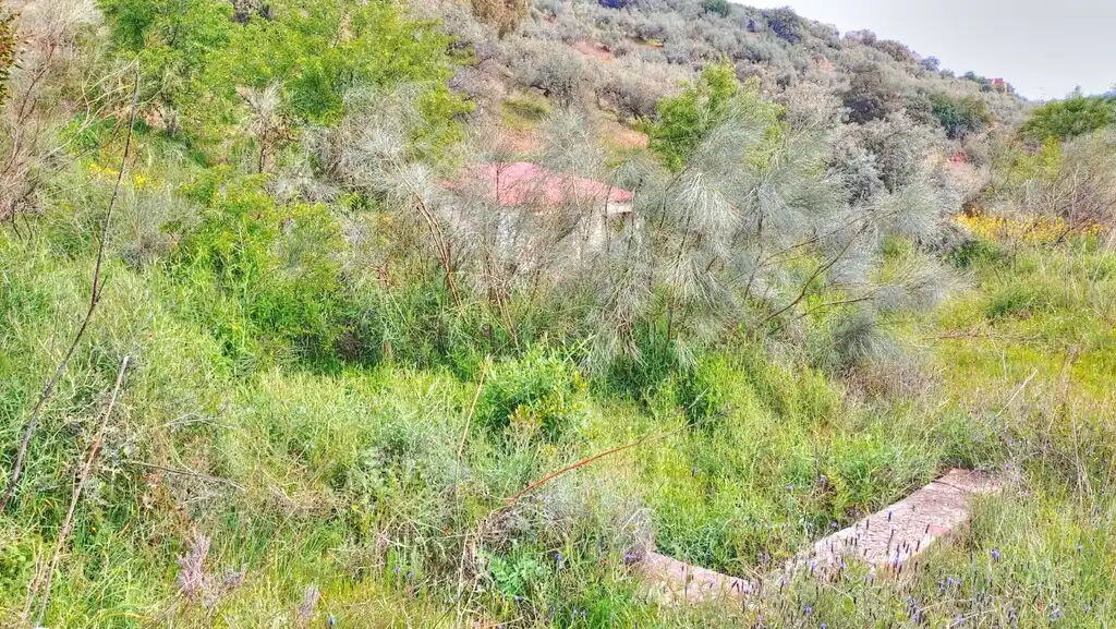Terreni e lotti in vendita a Comares, imagen 16