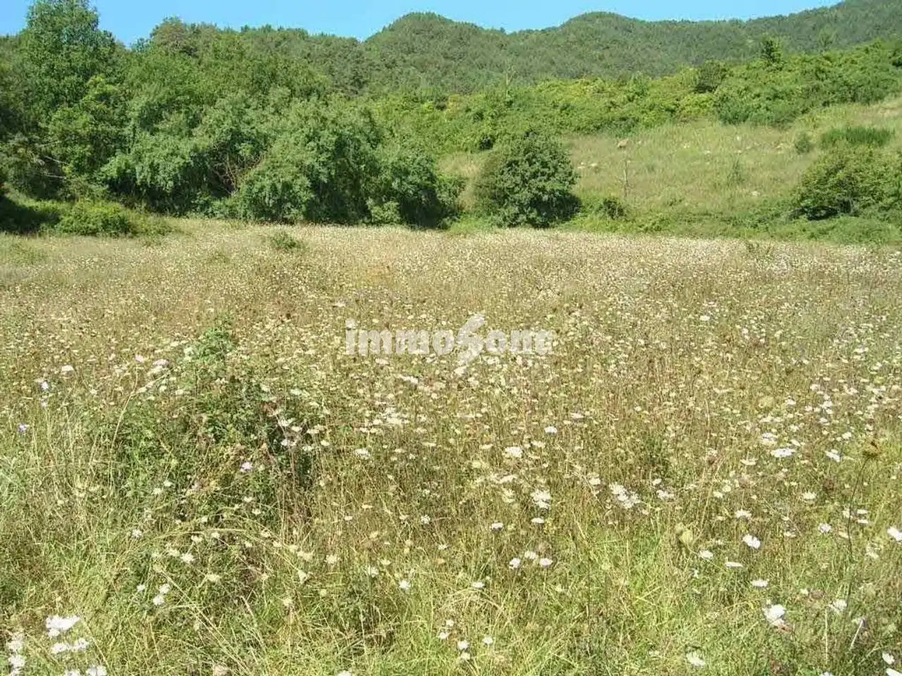 Terreny rústic en venda a La Vall de Bianya, imagen 5