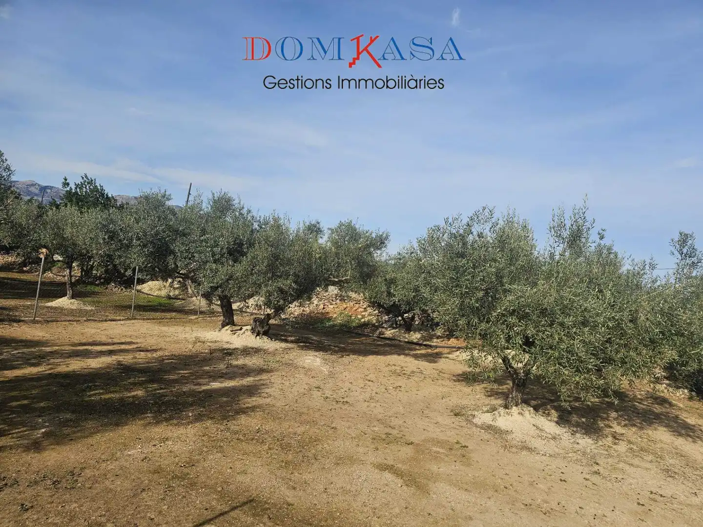 Rural land for sale in Aldover, imagen 22