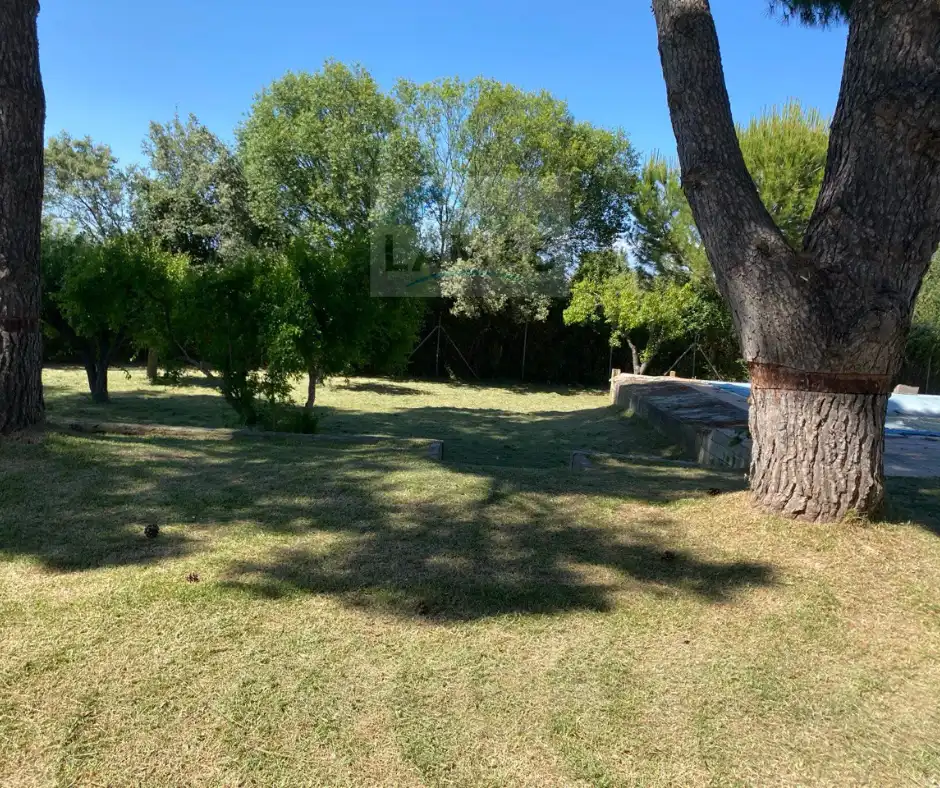 Casa rústica en venda a Diseminado Dehesa los Pinos, imagen 8
