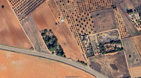 Foto 3 de Terreny en venda a Pl Es Clepesos  Pol .2 Nº Sn, Santa Eugènia, Illes Balears