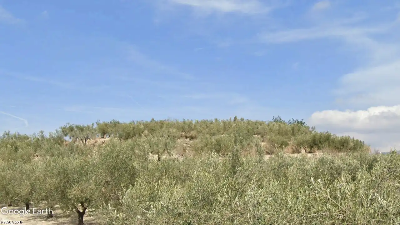 Grundstücke zum Verkauf in Terrateig