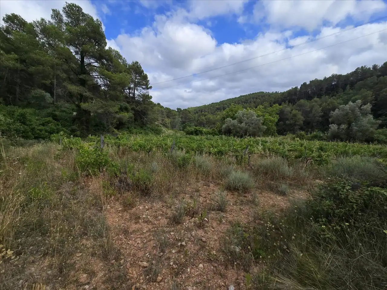 Terreny residencial en venda a Plana de Cal Cendra, imagen 4