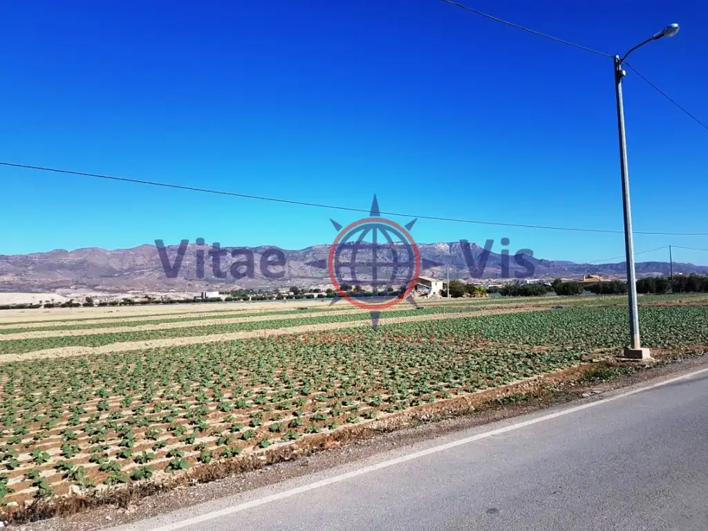 Residential land for sale in Diseminados Cazalla