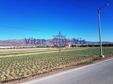 Terreno residenziale in vendita a Diseminados Cazalla