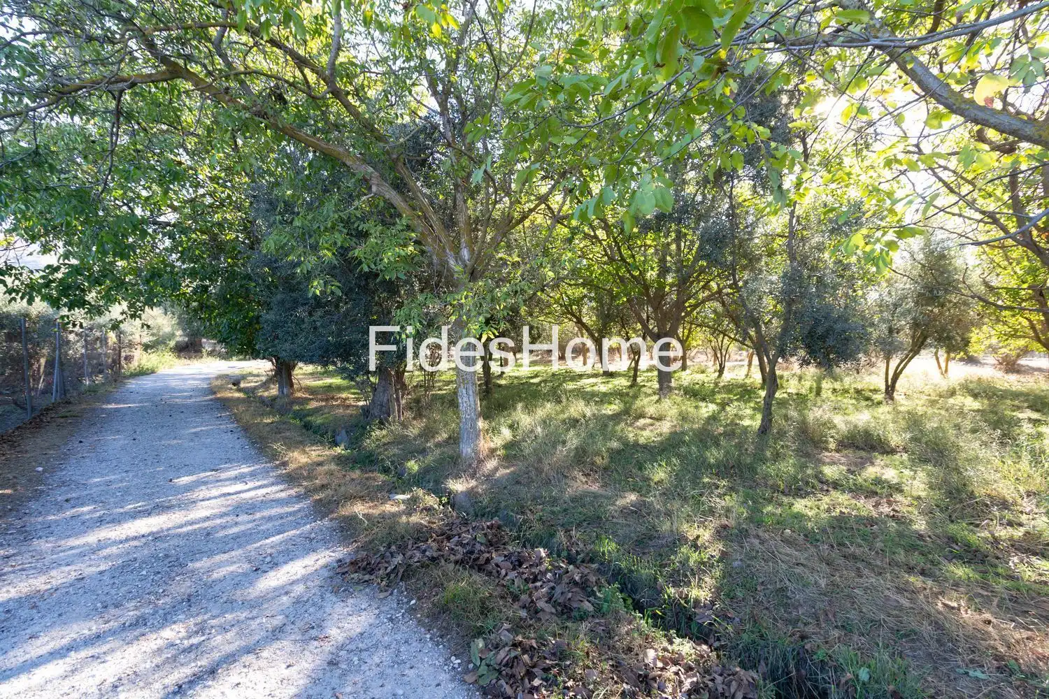 Rural land for sale in XFC2+47H Acequias 0
