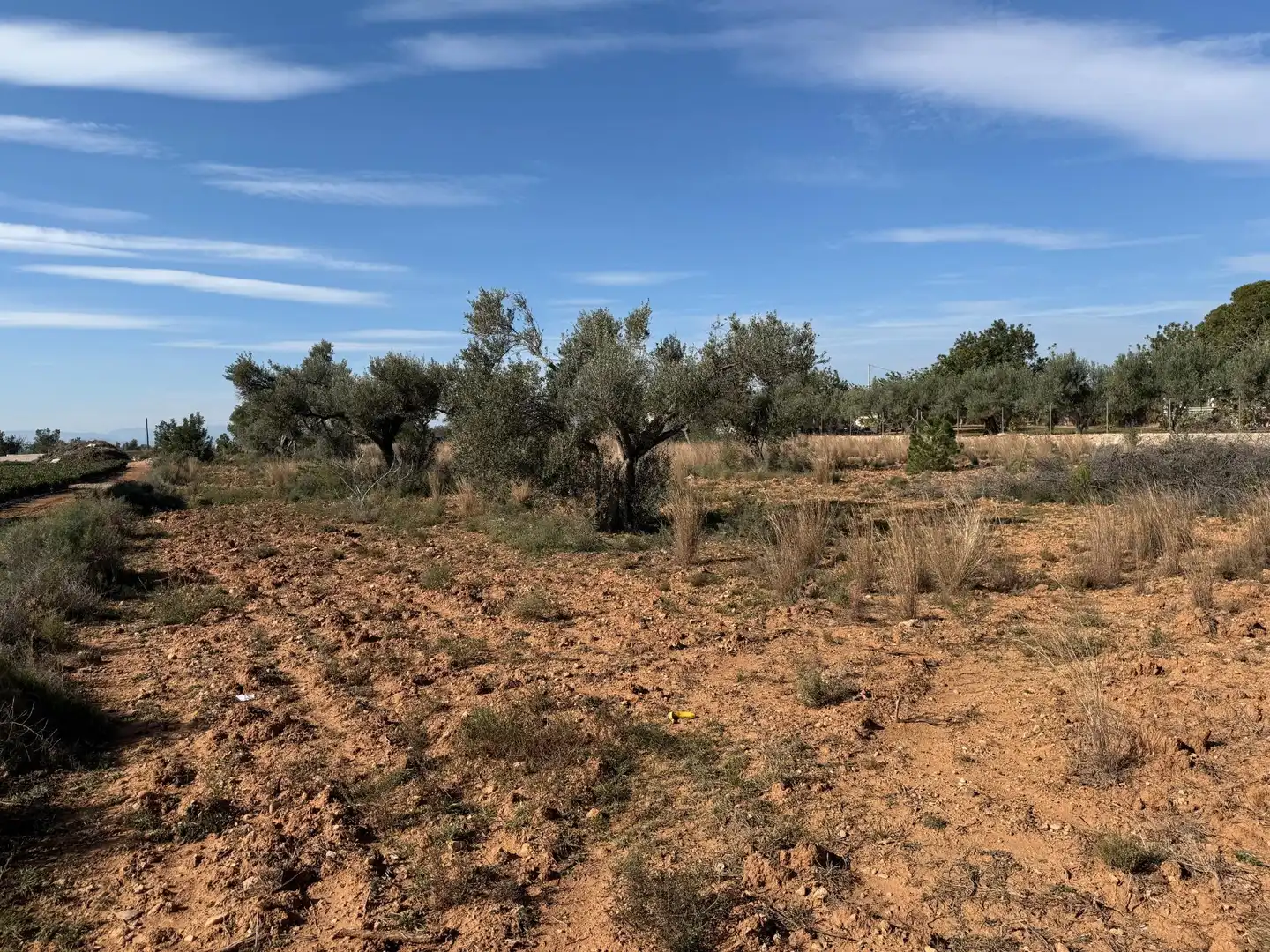 Terrain rustique à vendre à Urbanizaciones, imagen 19