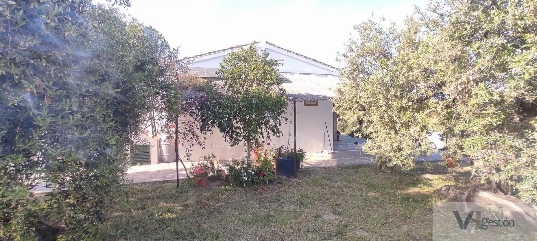 Casa rústica amb piscina en venda a El Coronil, imagen 13