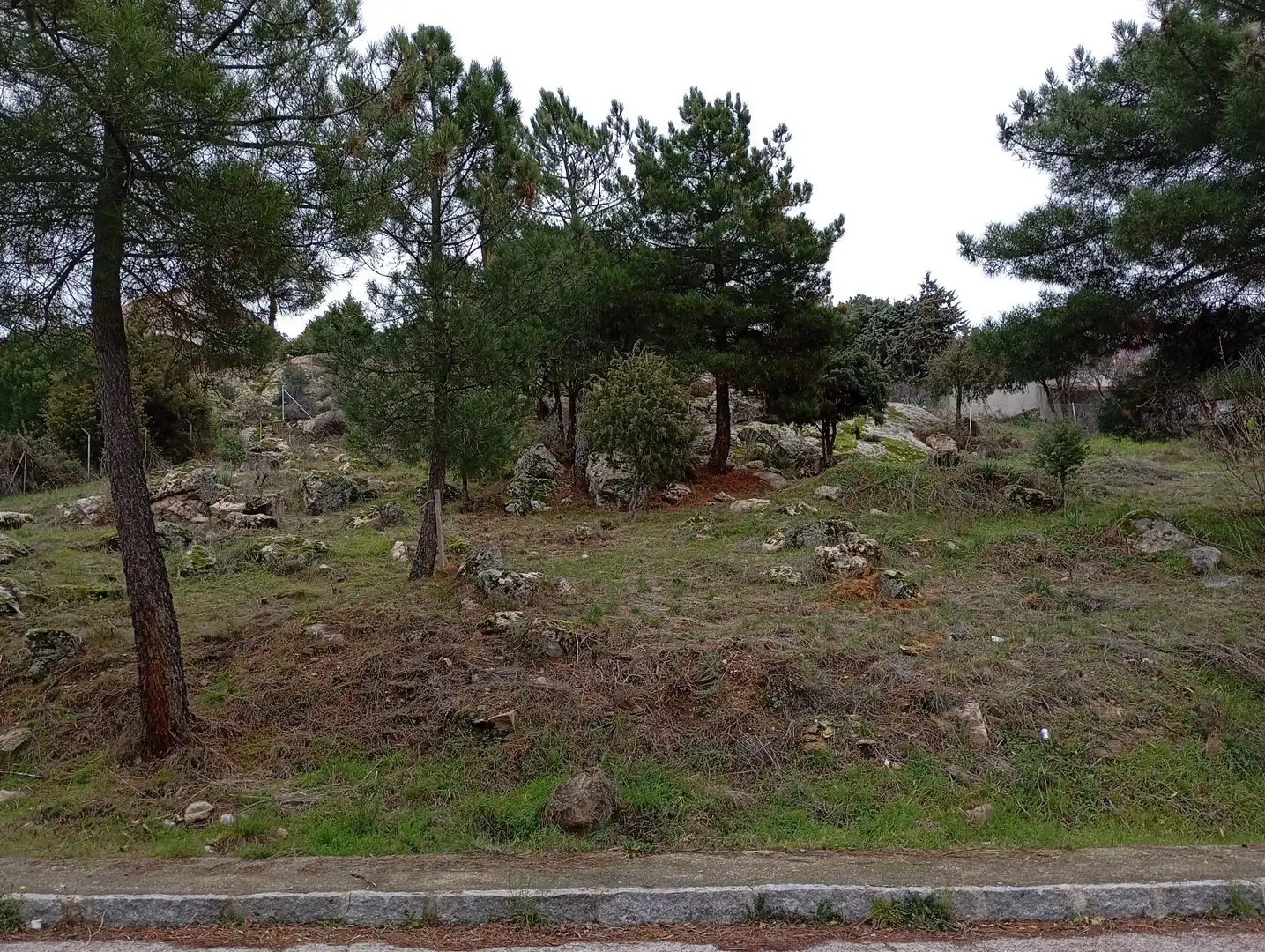 Terreni e lotti in vendita a Robledo de Chavela, imagen 25