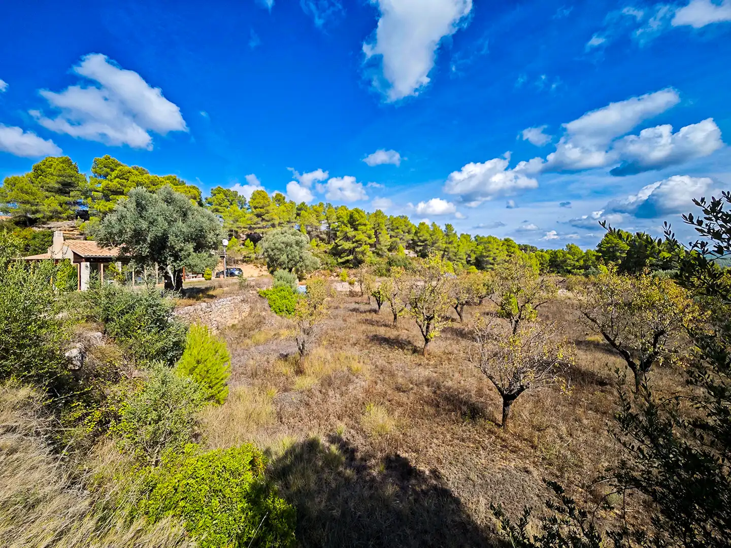 Rural land for sale in Arens de Lledó, imagen 37