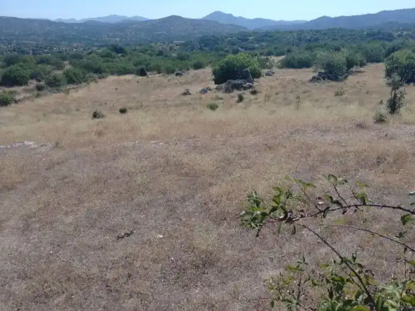 Finca rústica en venda en El Tiemblo 