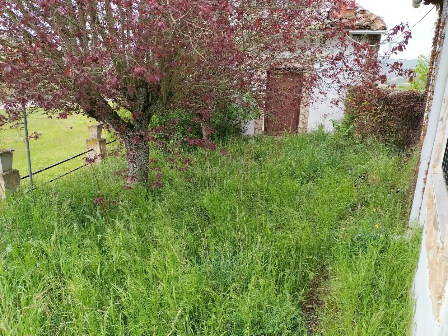 Casa o chalet en venta en Santibáñez de la Peña