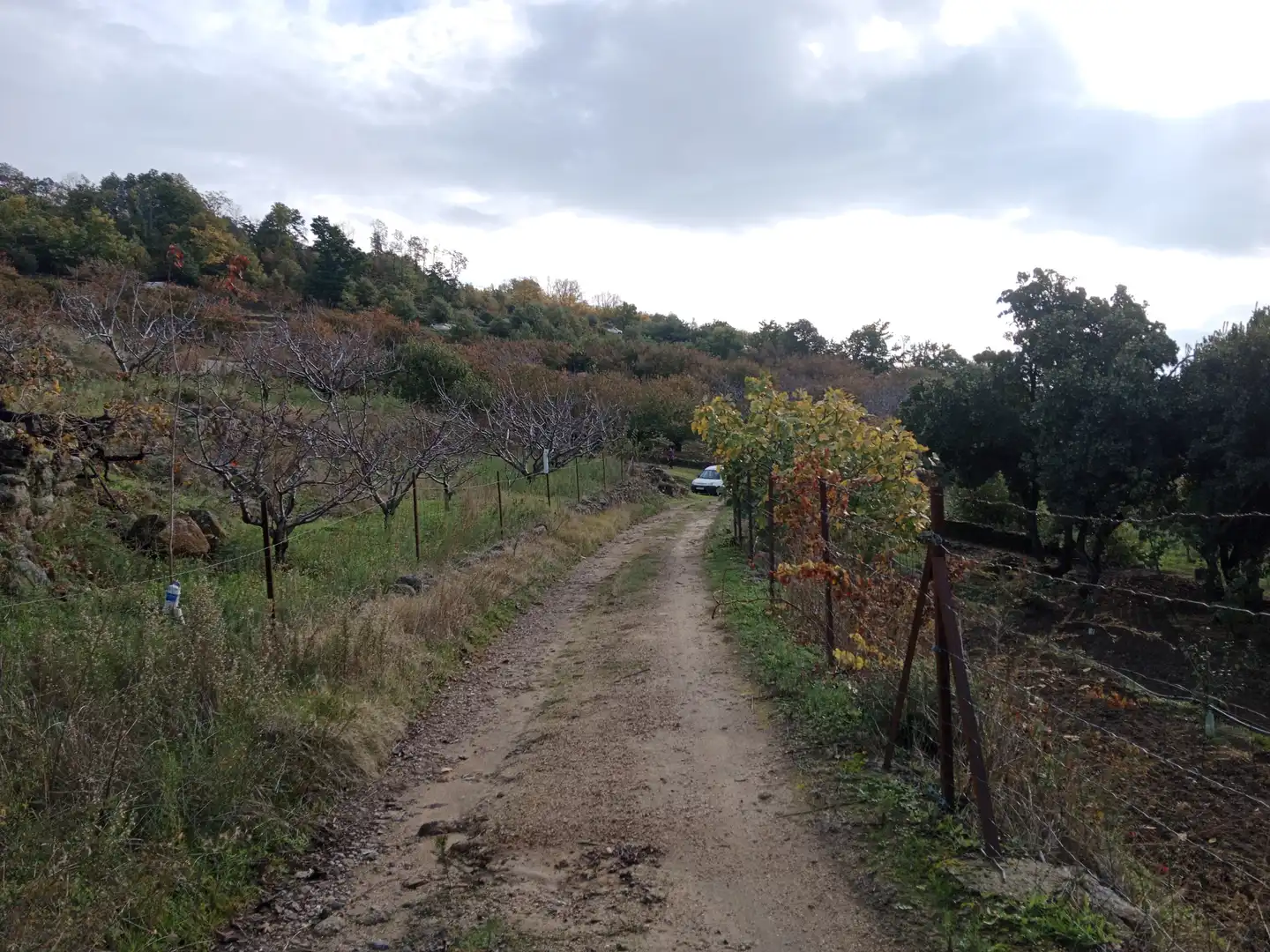 Terreni e lotti in vendita a Pasarón de la Vera, imagen 9