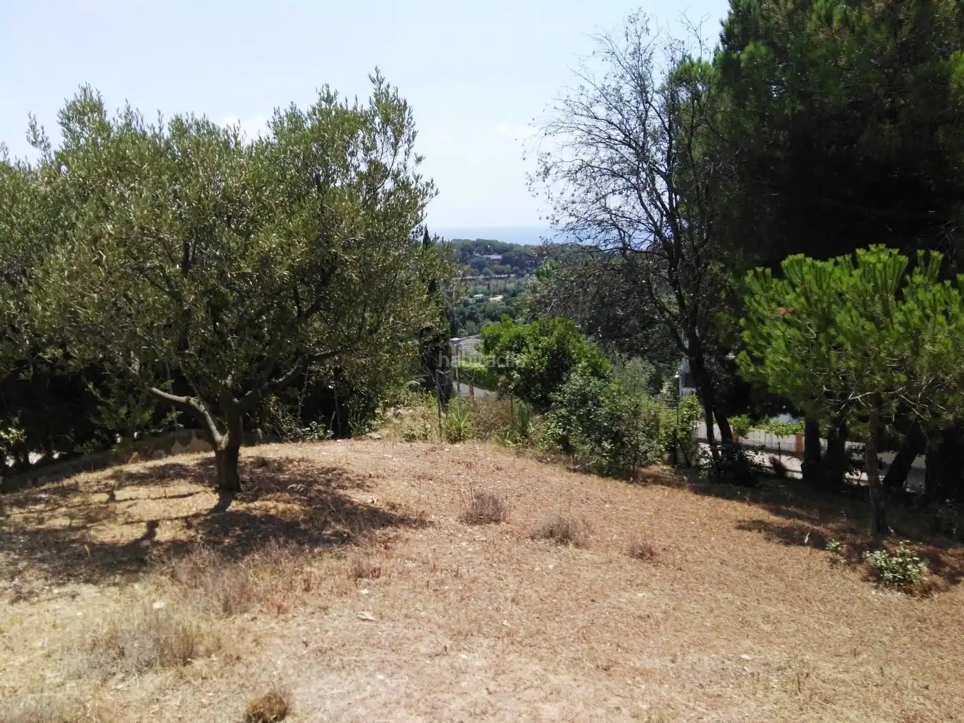 Wohnbaugrundstück zum Verkauf in Carrer Cami de Canet 131, imagen 5
